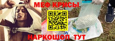 прущие грибы Гатчина