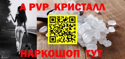индика Гай