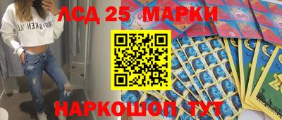 прущие грибы Гатчина