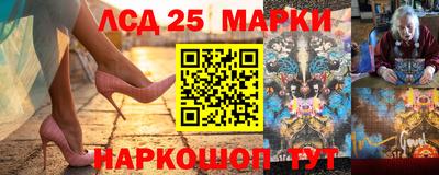 индика Гай