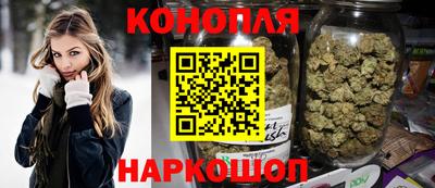 индика Гай
