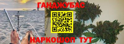 прущие грибы Гатчина