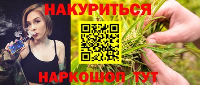индика Гай