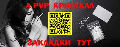 индика Гай