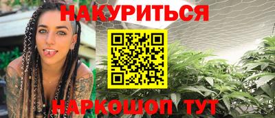 прущие грибы Гатчина