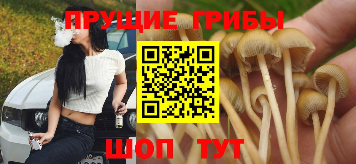 как найти закладки  Вход с VPN  Новошахтинск  Галлюциногенные грибы Cubensis 