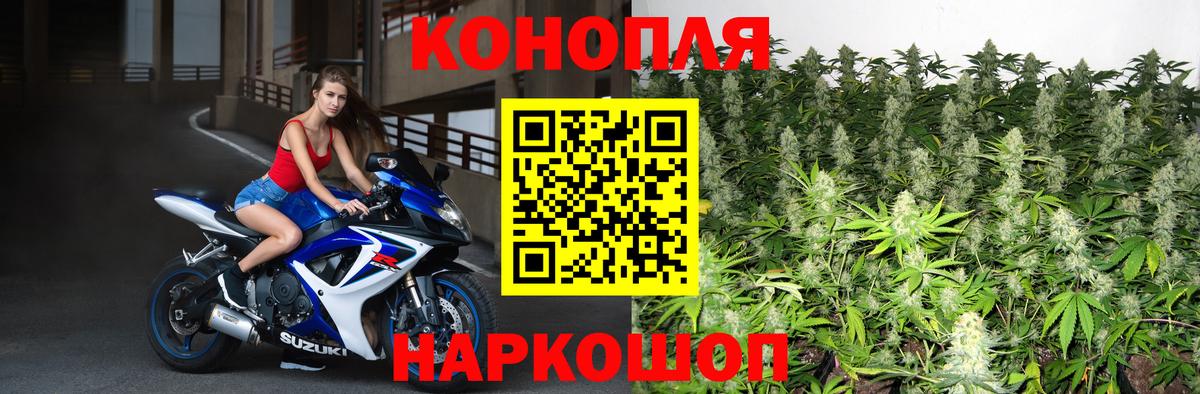 Бошки марихуана Bruce Banner Новошахтинск